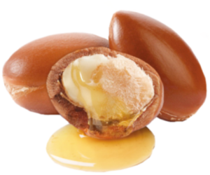 argan nut