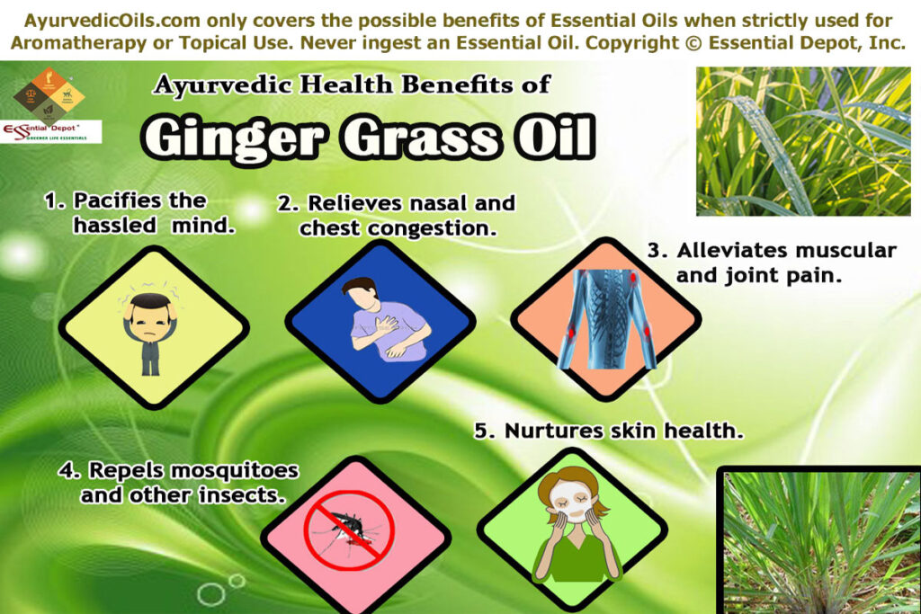 Ginger-grass-boucher