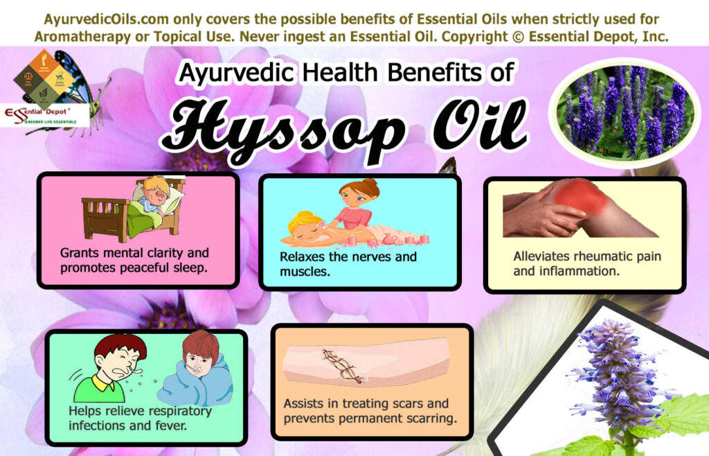 Hyssop-broucher-info