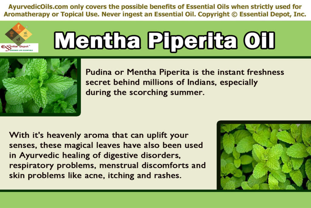 Mentha-pepperita-banner