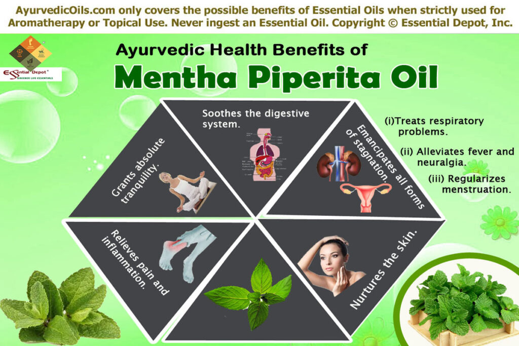 Mentha-pepperita-broucher