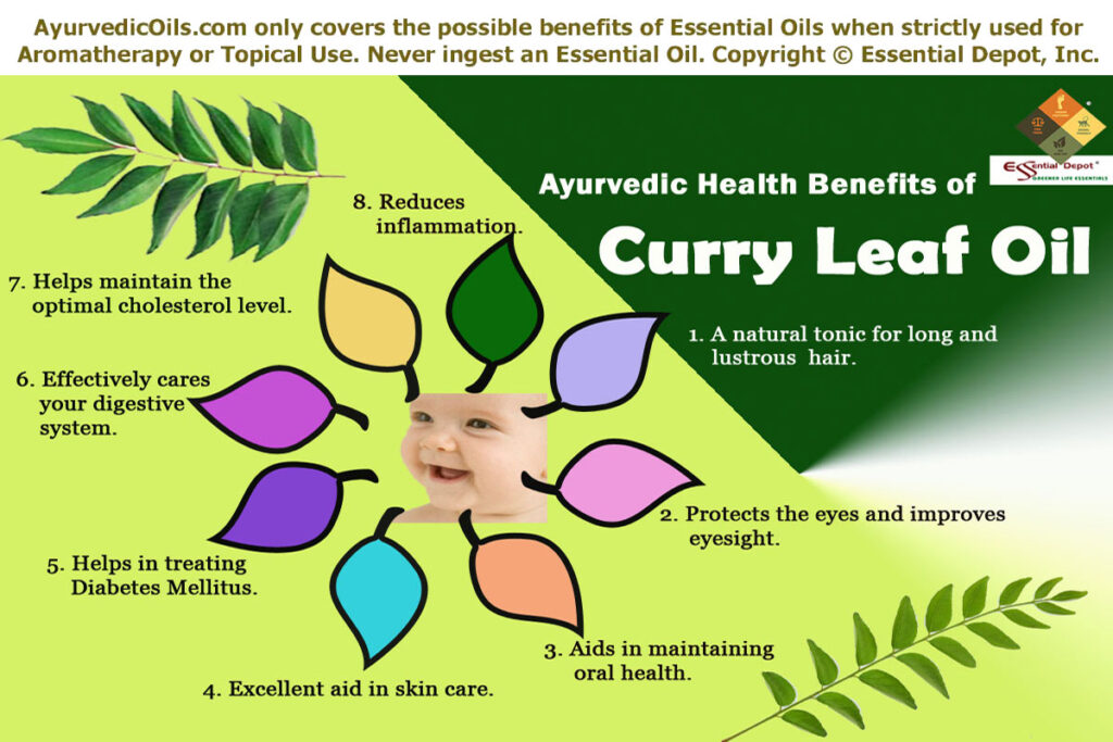 Curry-leaf-broucher