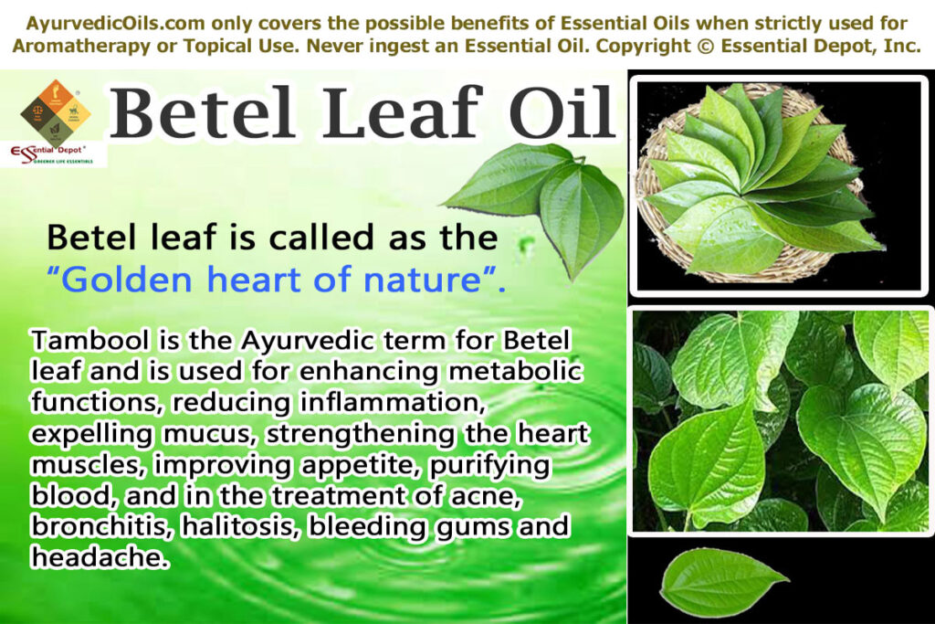 Betel-leaf-banner