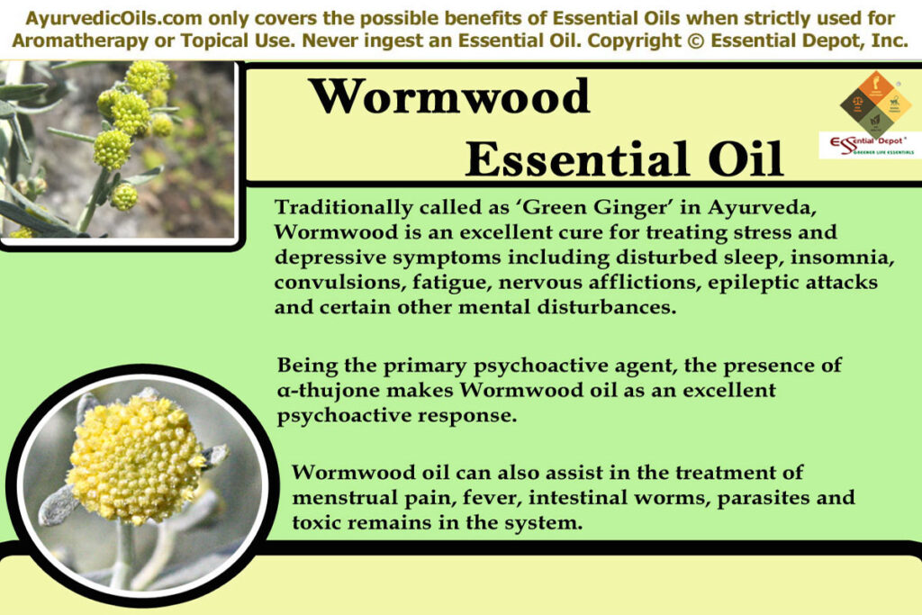 wormwood-banner